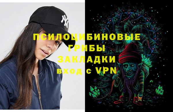 тгк Горнозаводск