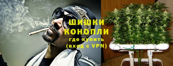 тгк Горнозаводск