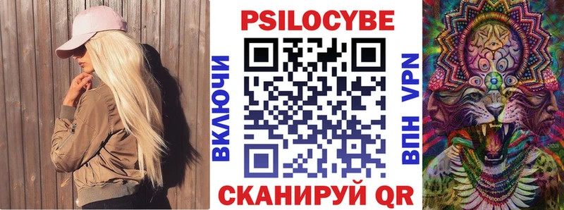 Купить  Котельники  Галлюциногенные грибы Psilocybe 